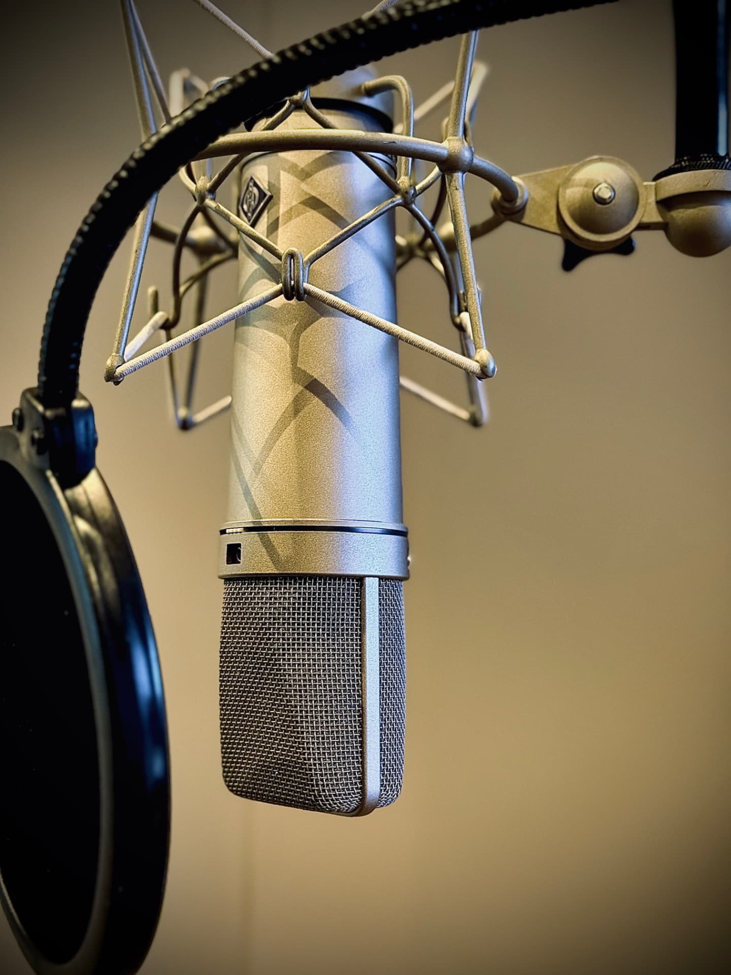 Large-diaphragm condenser microphone in the RMP LLC voice booth